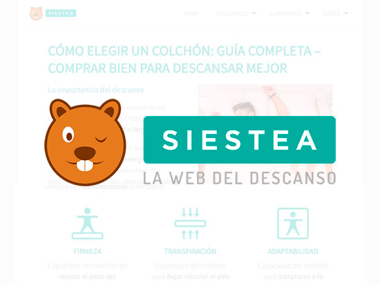 Siestea